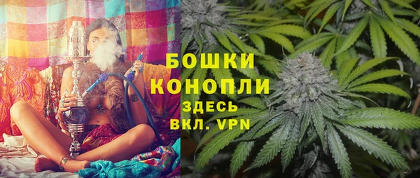 spice Арсеньев