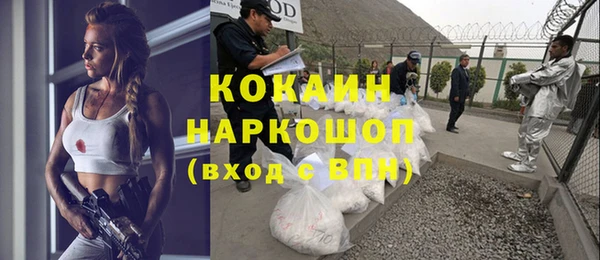 твердый Ельня