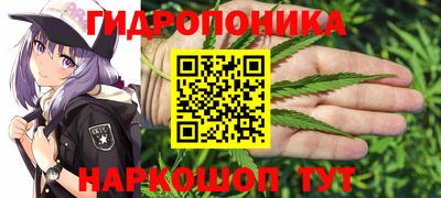 мдма Моздок