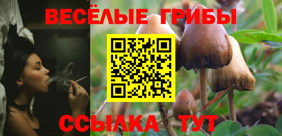 Галлюциногенные грибы Magic Shrooms  Вход с VPN  Бор 